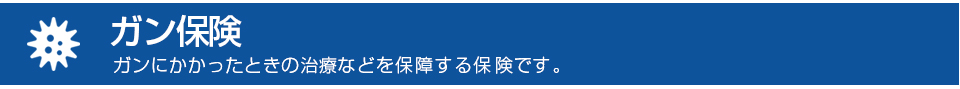 がん保険