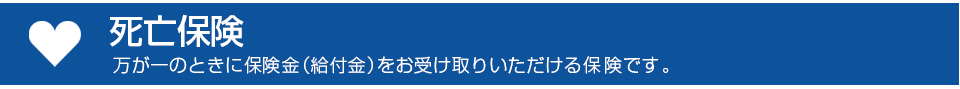 死亡保険