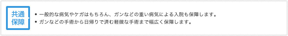 共通保障